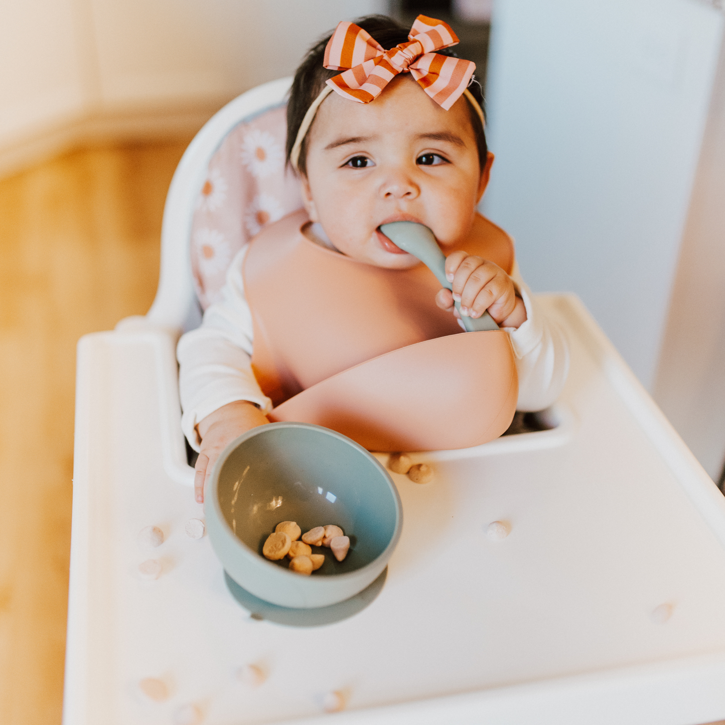 Blush Suction Bowl and Spoon Set