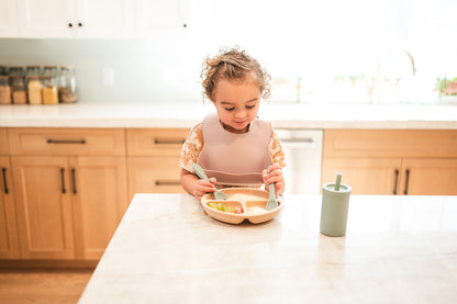 Dusty Rose Silicone Baby Bib